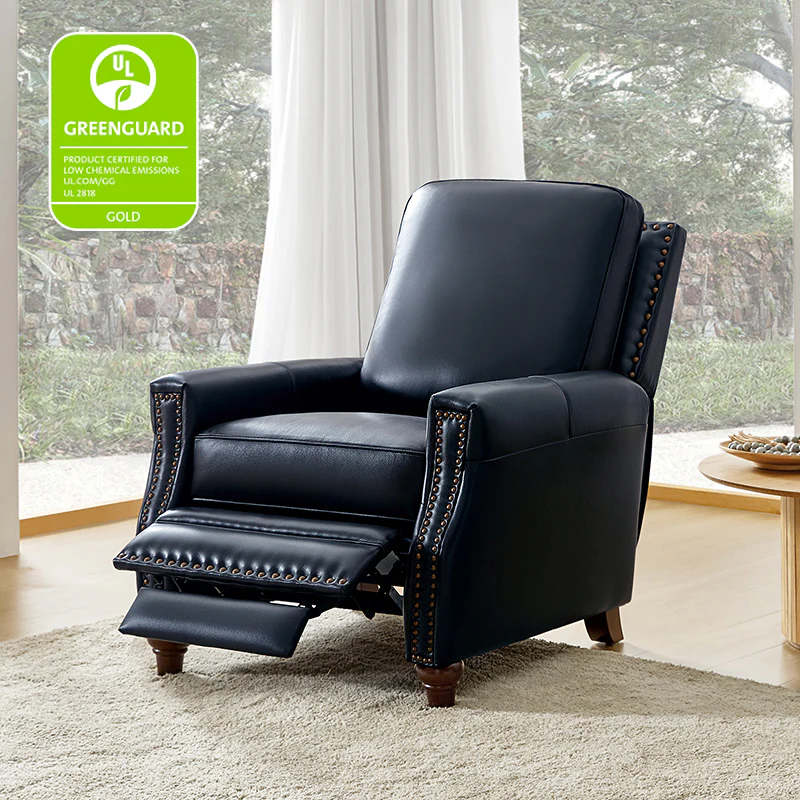 Annabelle Genuine Leather Recliner Chair(Optional Types) - Image 41