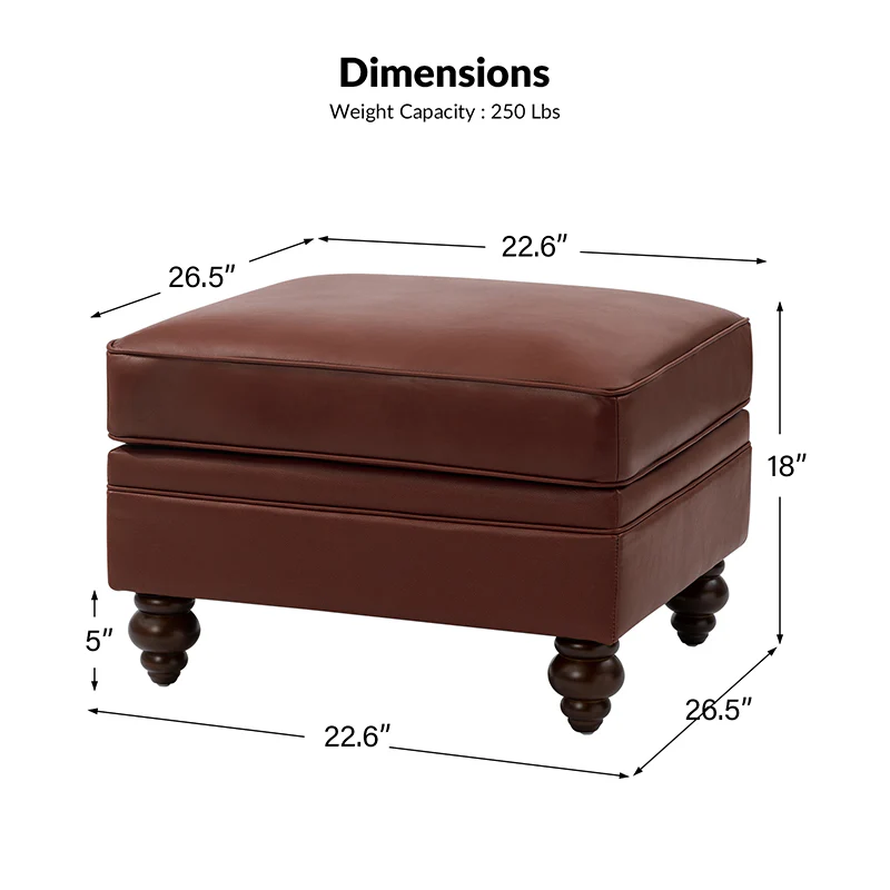 Basilio Contemporary Genuine Leather Ottoman for Living Room - Image 27