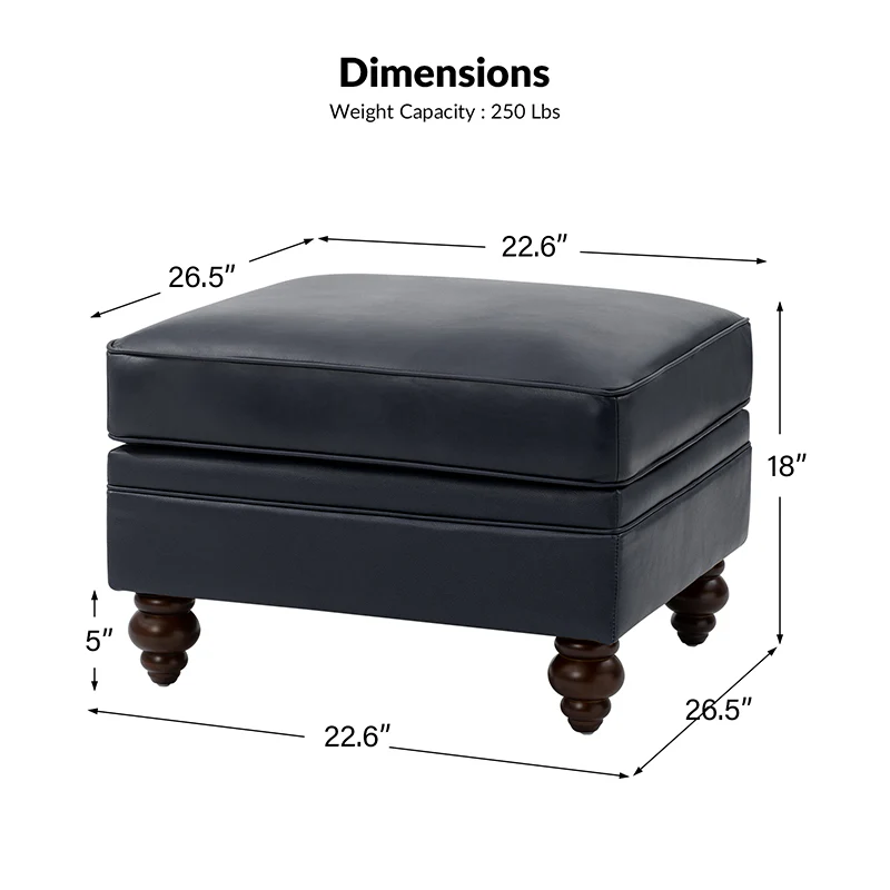 Basilio Contemporary Genuine Leather Ottoman for Living Room - Image 35