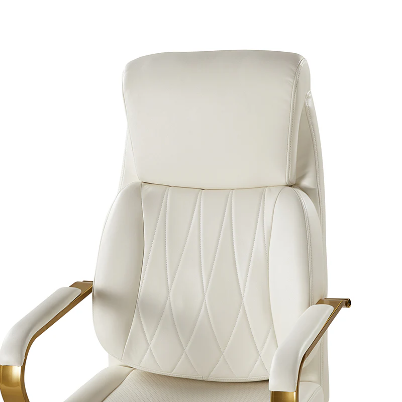 Ludwig Ergonomic Office Chair with Lumbar Support - Image 26