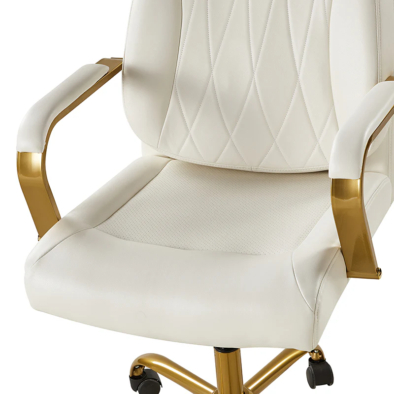 Ludwig Ergonomic Office Chair with Lumbar Support - Image 27
