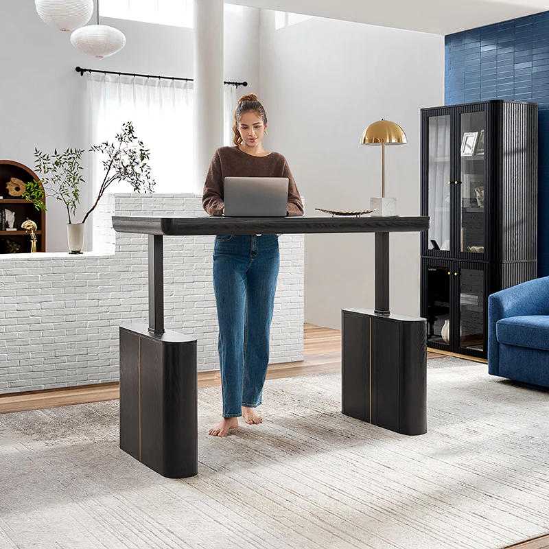 Emilio Modern Electric Adjustable Standing Desk - Image 9