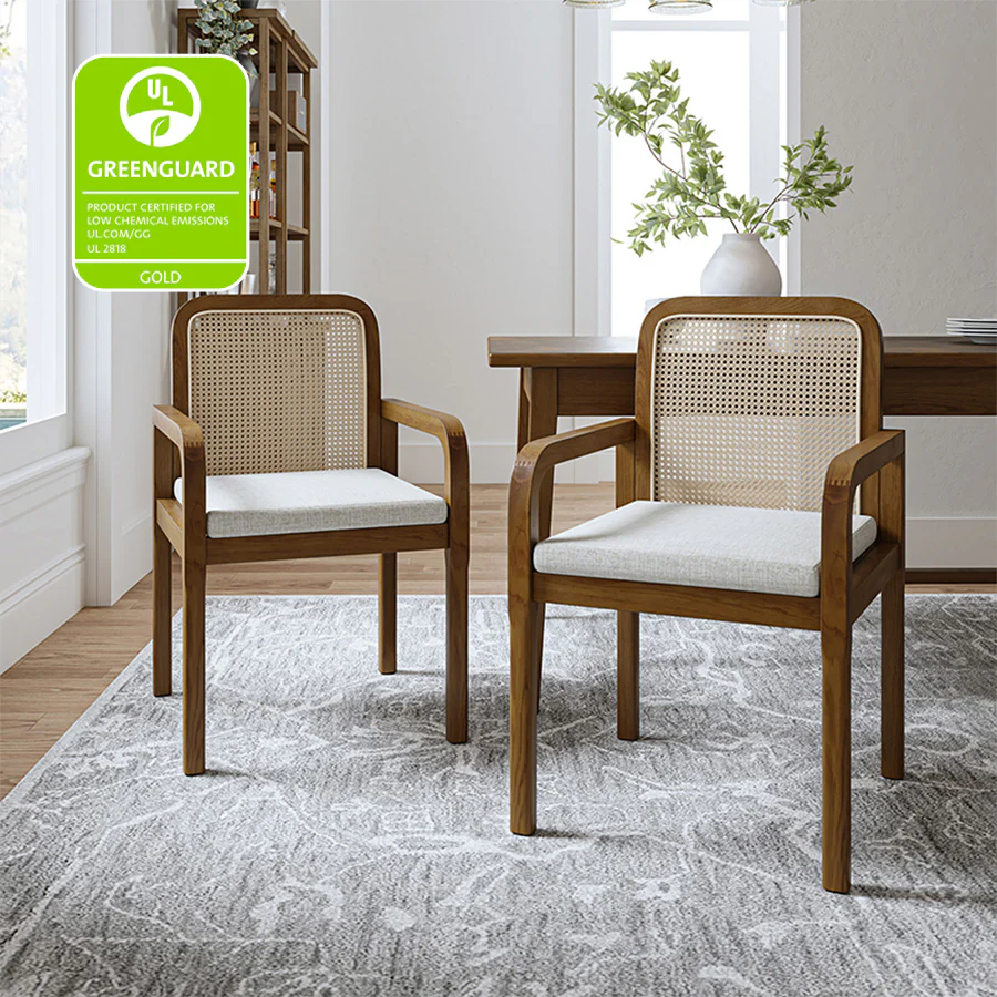 Kevin Mid Century Modern Ratten Dining Accent Chair Set of 2 - Image 10